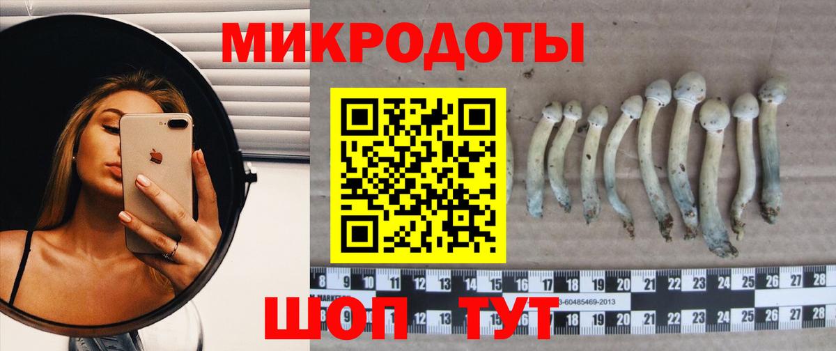 где продают   Псилоцибиновые грибы Cubensis  Урус-Мартан  Вход с VPN  Галлюциногенные грибы прущие грибы 